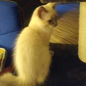 Meet your Posher, Cathlin